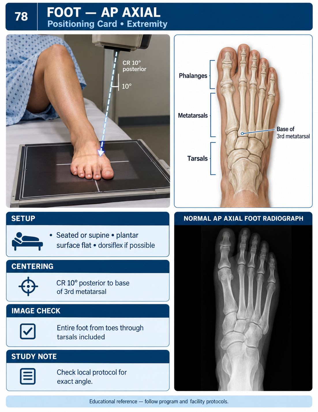 Preview of the Radiography Student Visual Guide