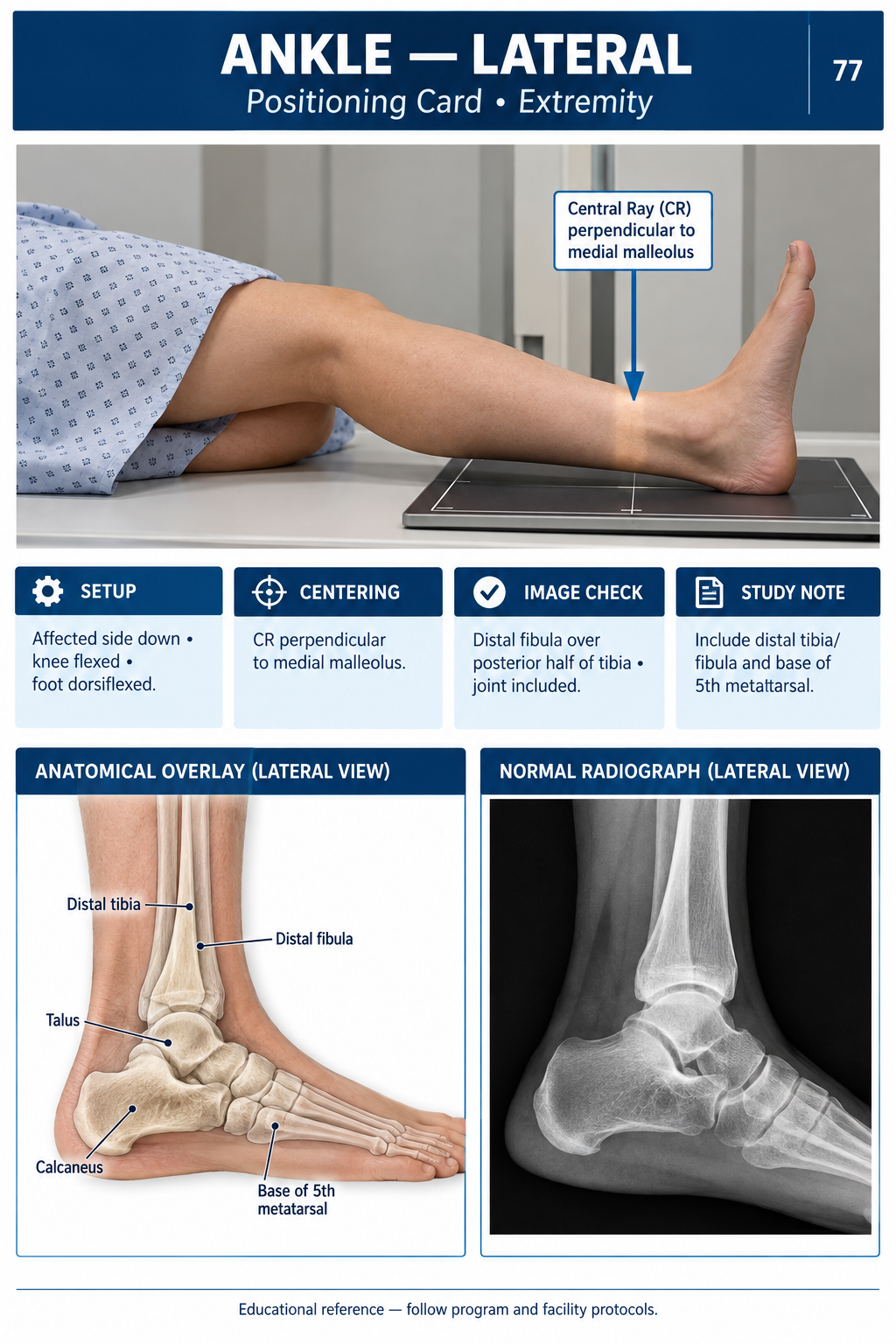 Preview of the Radiography Student Visual Guide